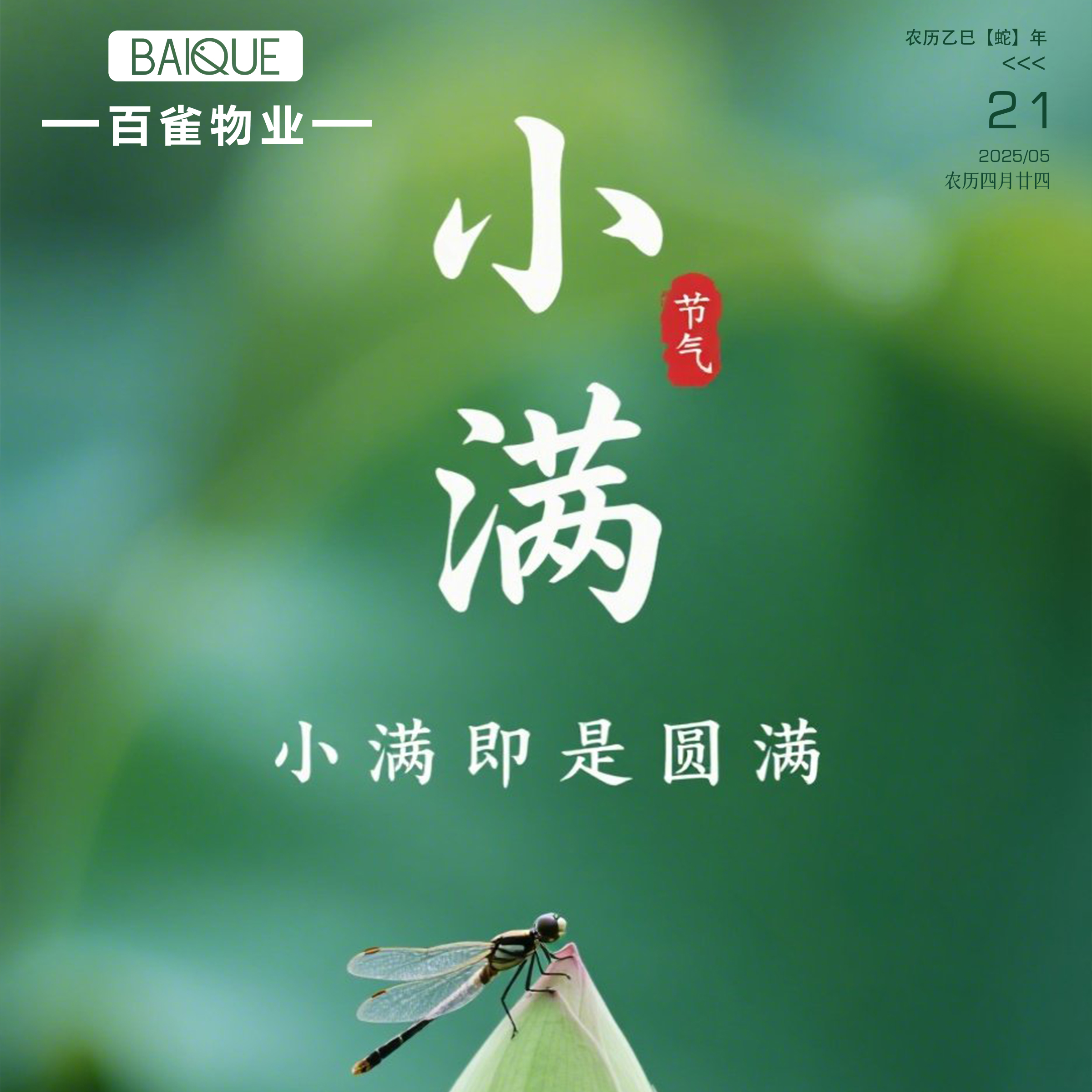 二十四節氣 | 小滿